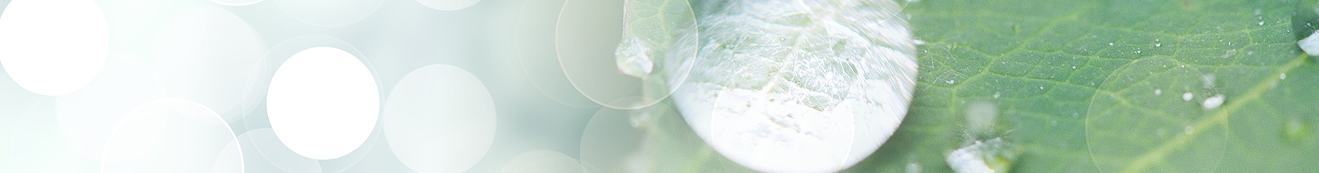 innerbanner-2